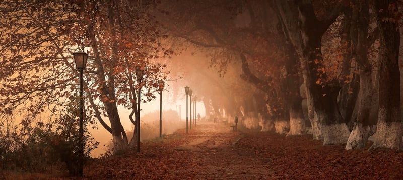 Magical pathways